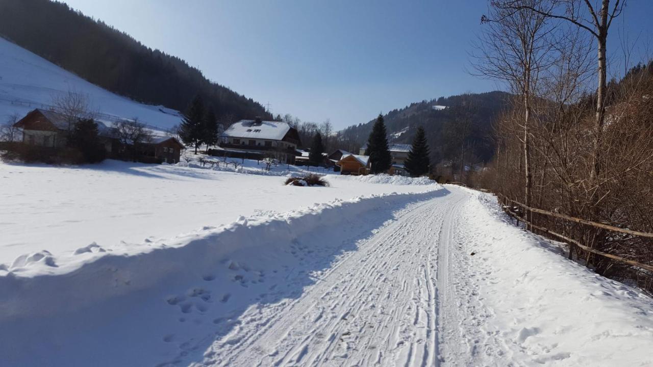 Hubertushof Trattenbach (Lower Austria)